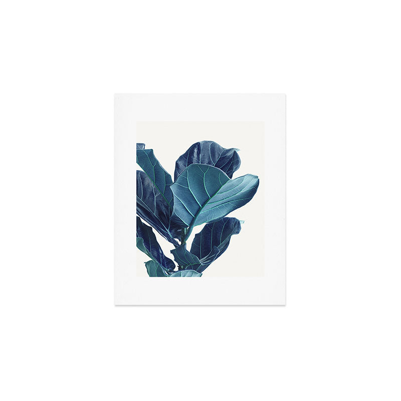 Fiddle Leaf Fig Plant - Fine Art Photography Art Print Gallery Image 1