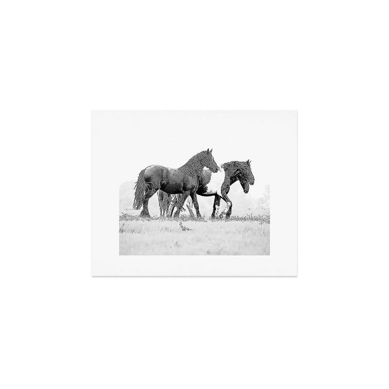 Free Rein - Black and White Photography Art Print