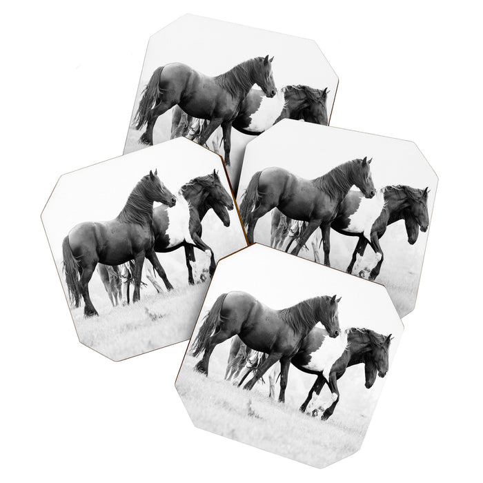 Free Rein - Black and White Photography Coaster Gallery Image 1