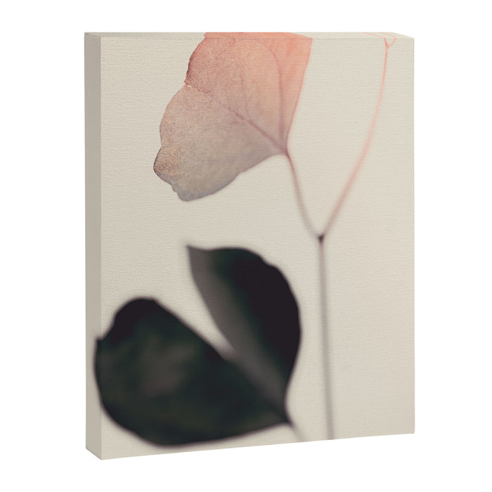 Ginkgo Leaves - Abstract Nature - Botanical Plant Photography Canvas Print Gallery Image 1