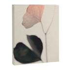 Ginkgo Leaves - Abstract Nature - Botanical Plant Photography Canvas Print Gallery Image 6