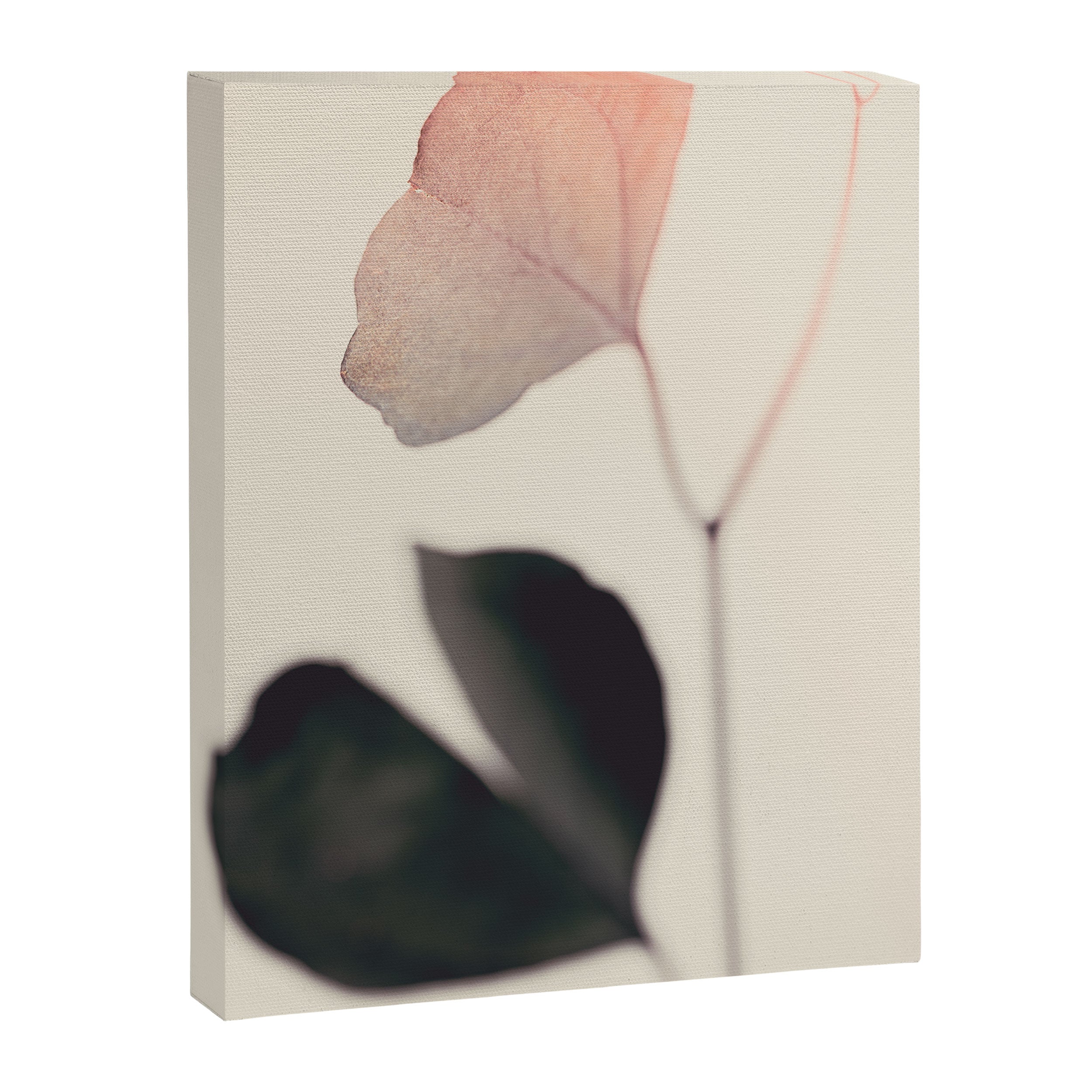 Ginkgo Leaves - Abstract Nature - Botanical Plant Photography Canvas Print Gallery Image 6