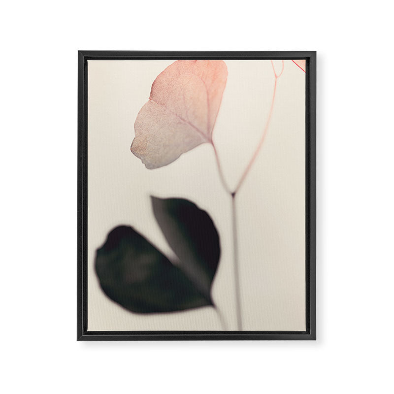 Ginkgo Leaves - Abstract Nature - Botanical Plant Photography Framed Canvas Print Gallery Image 6
