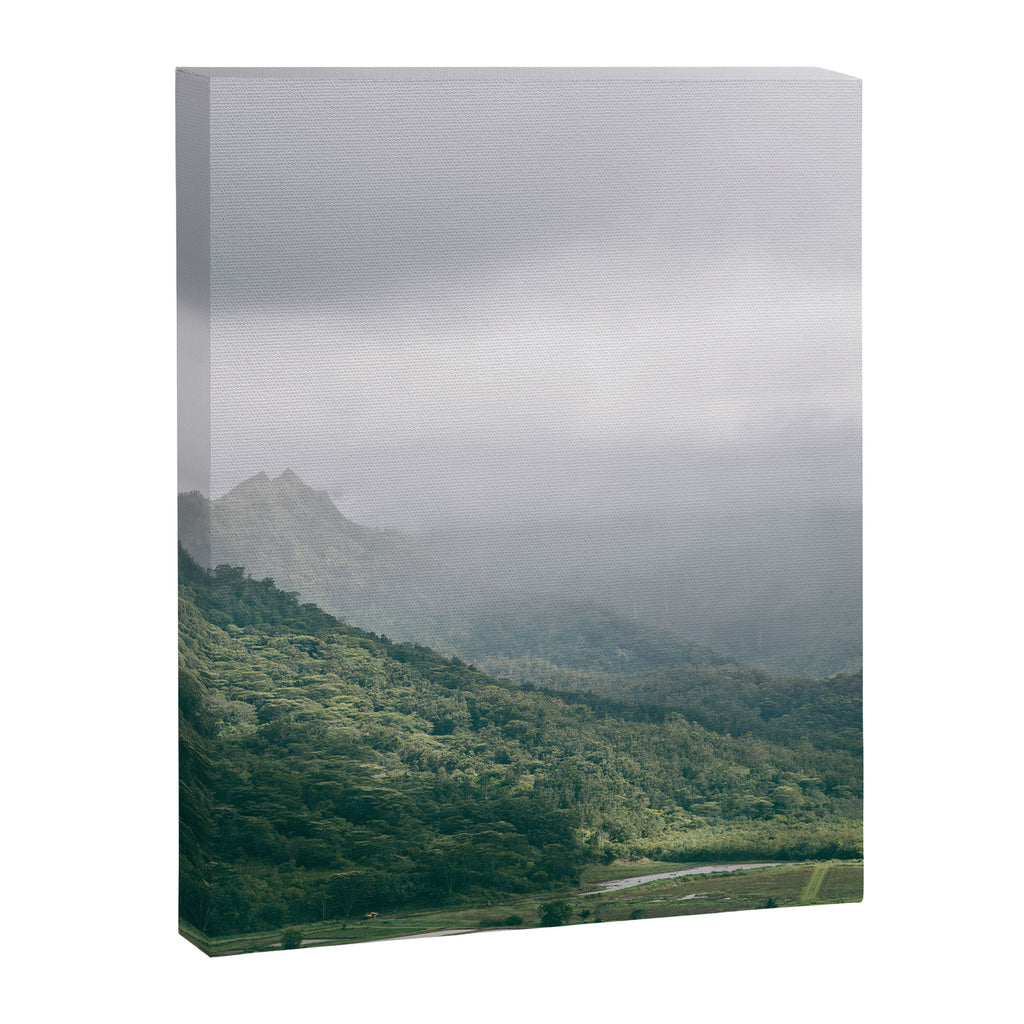 Hanalei Taro Fields - Hawaii Tropical Nature, Landscape Photography Canvas Print Gallery Image 8