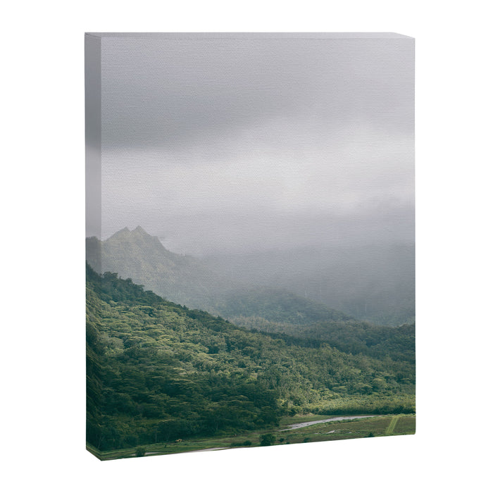 Hanalei Taro Fields - Hawaii Tropical Nature, Landscape Photography Canvas Print Gallery Image 1