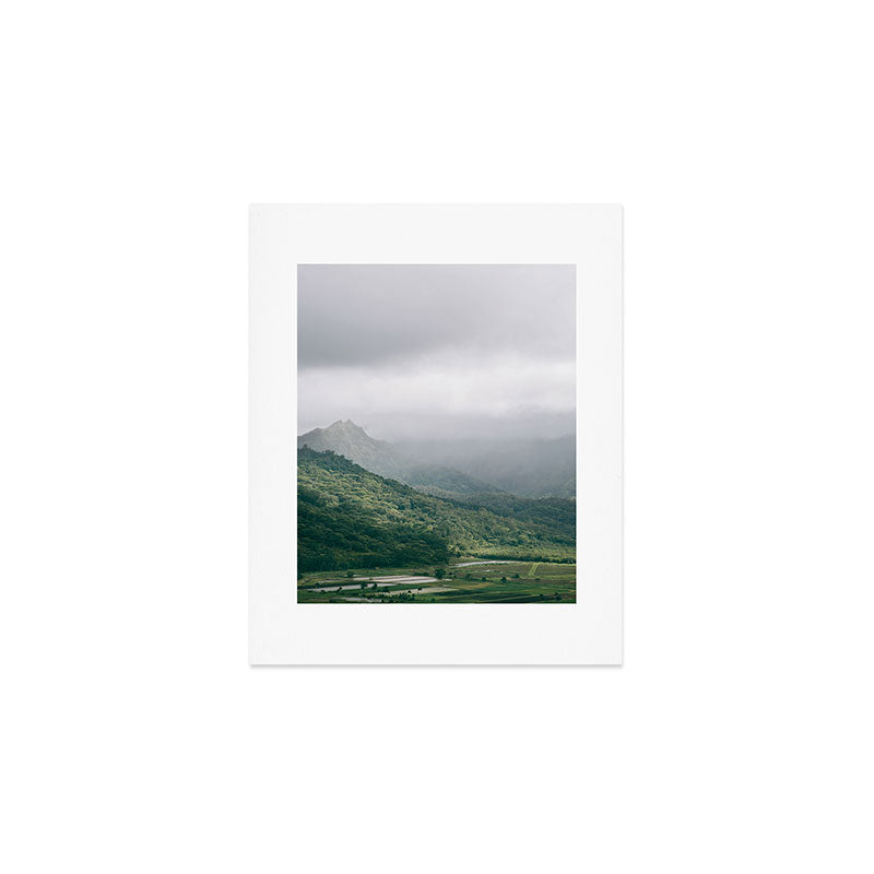 Hanalei Taro Fields - Hawaii Tropical Nature, Landscape Photography Art Print Gallery Image 1