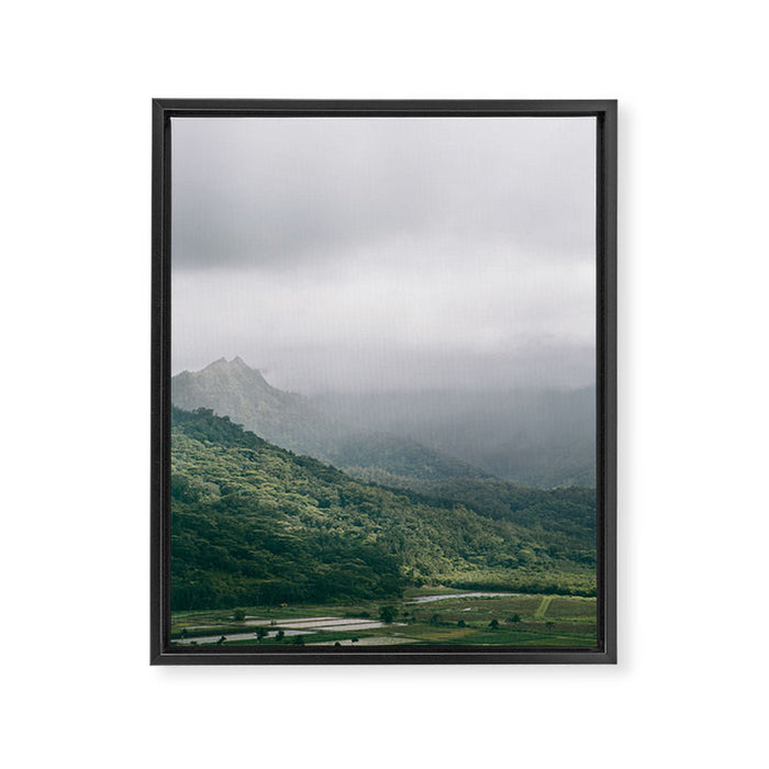 Hanalei Taro Fields - Hawaii Tropical Nature, Landscape Photography Framed Canvas Print Gallery Image 1