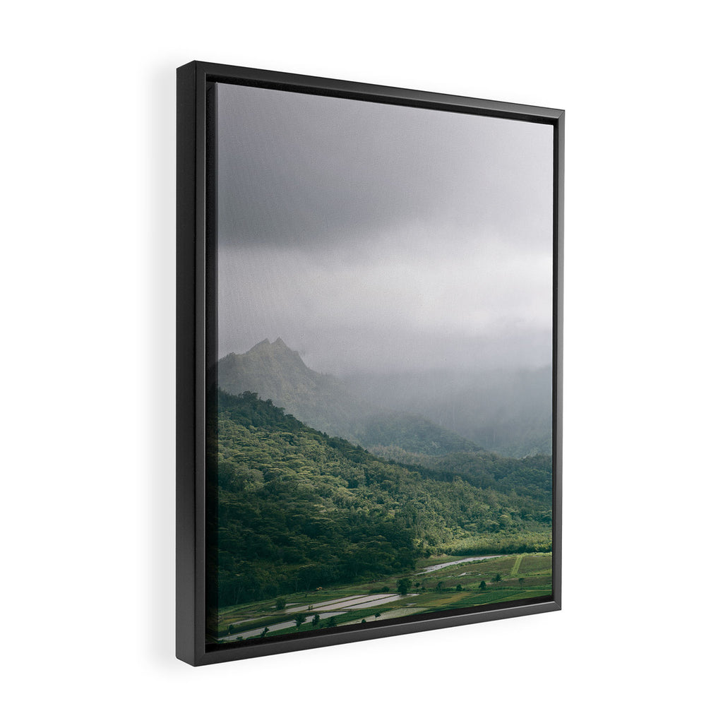 Hanalei Taro Fields - Hawaii Tropical Nature, Landscape Photography Framed Canvas Print Gallery Image 2