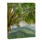 Hanalei Valley - Tropical Hawaii Landscape Photography Canvas Print Gallery Image 6