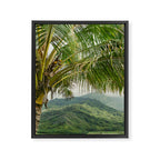 Hanalei Valley - Tropical Hawaii Landscape Photography Framed Canvas Print Gallery Image 6