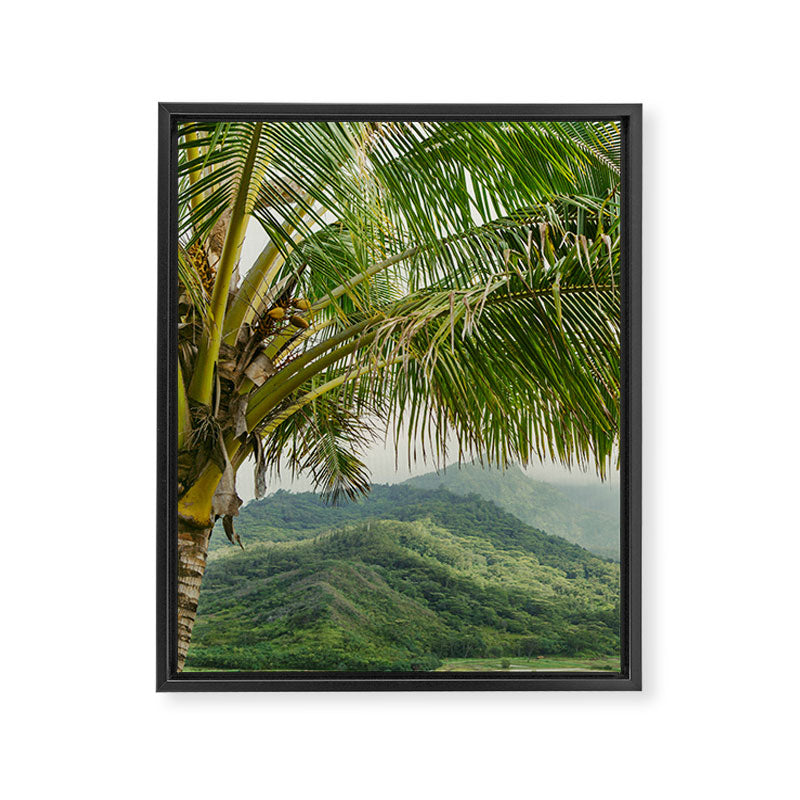 Hanalei Valley - Tropical Hawaii Landscape Photography Framed Canvas Print Gallery Image 6