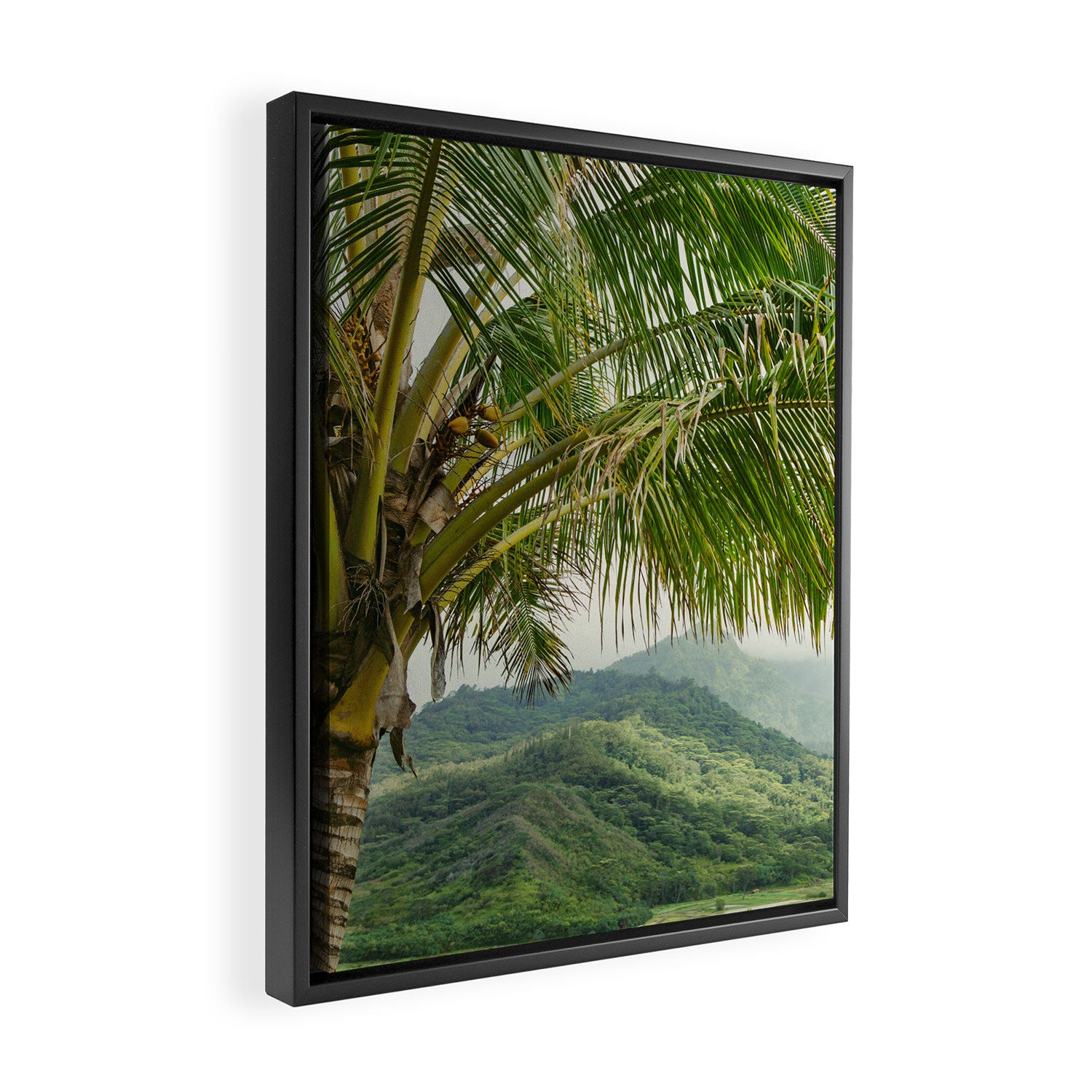 Hanalei Valley - Tropical Hawaii Landscape Photography Framed Canvas Print Gallery Image 2