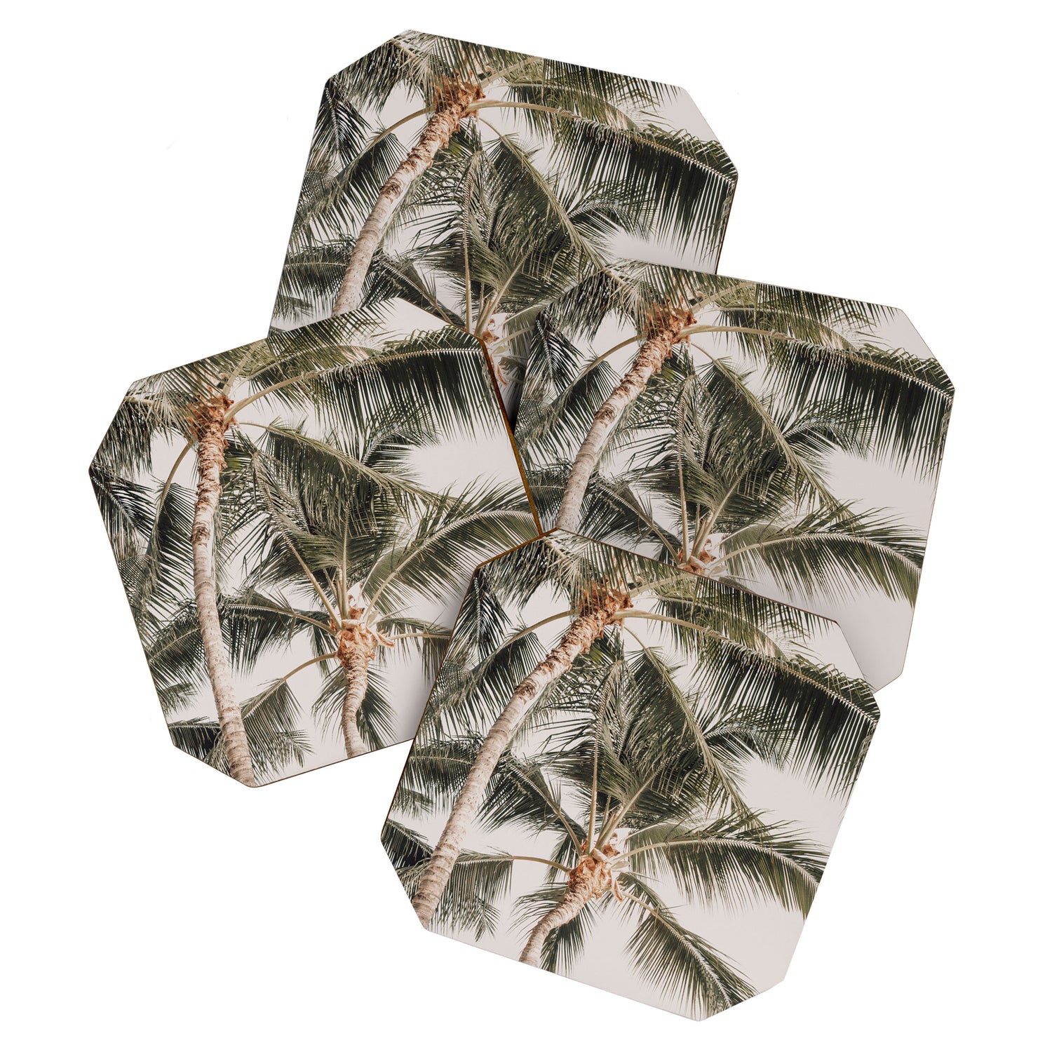 Hawaiian Palms Coaster Gallery Image 1