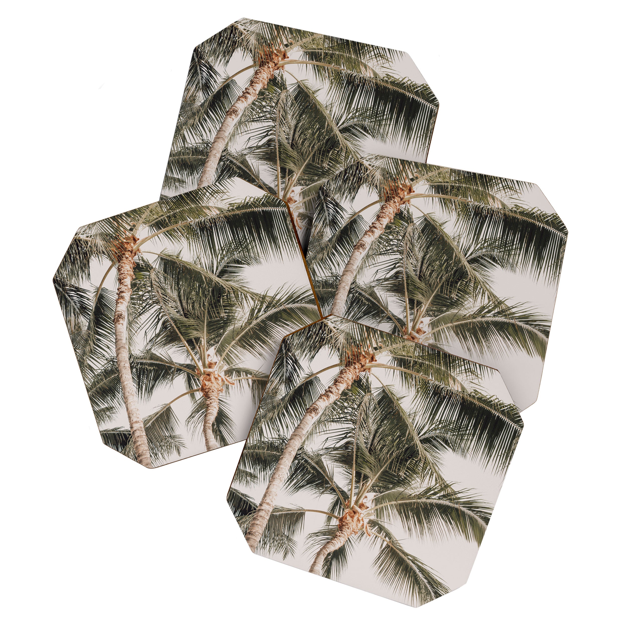 Hawaiian Palms Coaster Gallery Image 1