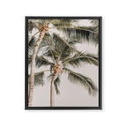 Hawaiian Palms Framed Canvas Print Gallery Image 6