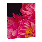 Hot Pink Peonies Canvas Print Gallery Image 6