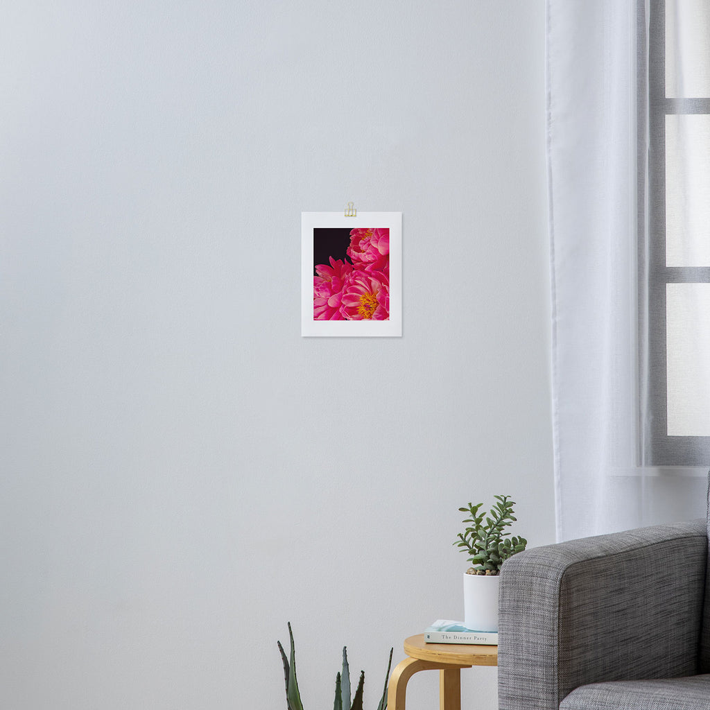 Hot Pink Peonies Art Print Gallery Image 3