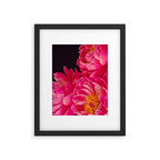 Hot Pink Peonies Framed Art Print Gallery Image 5