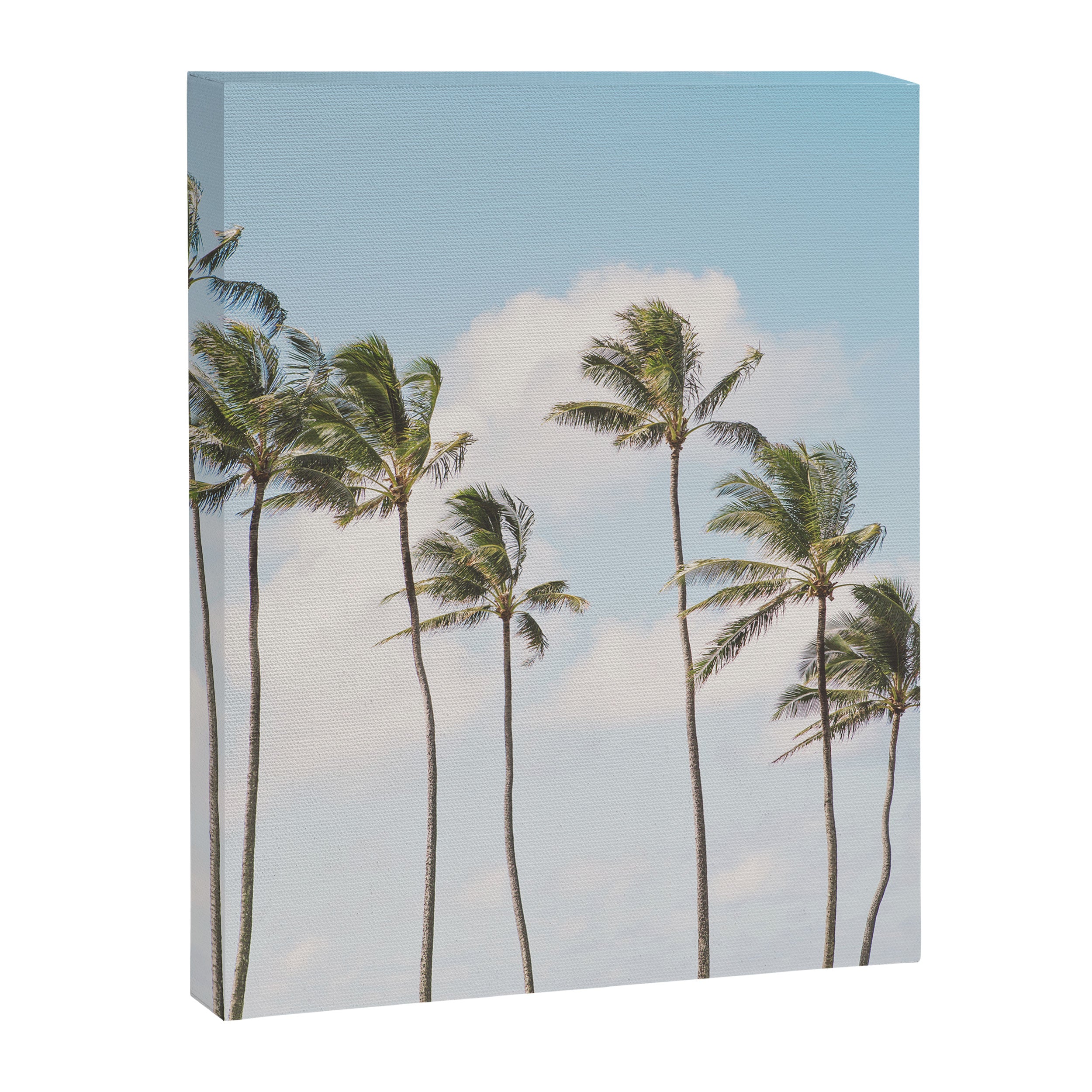 Isle of Palms Canvas Print Gallery Image 6