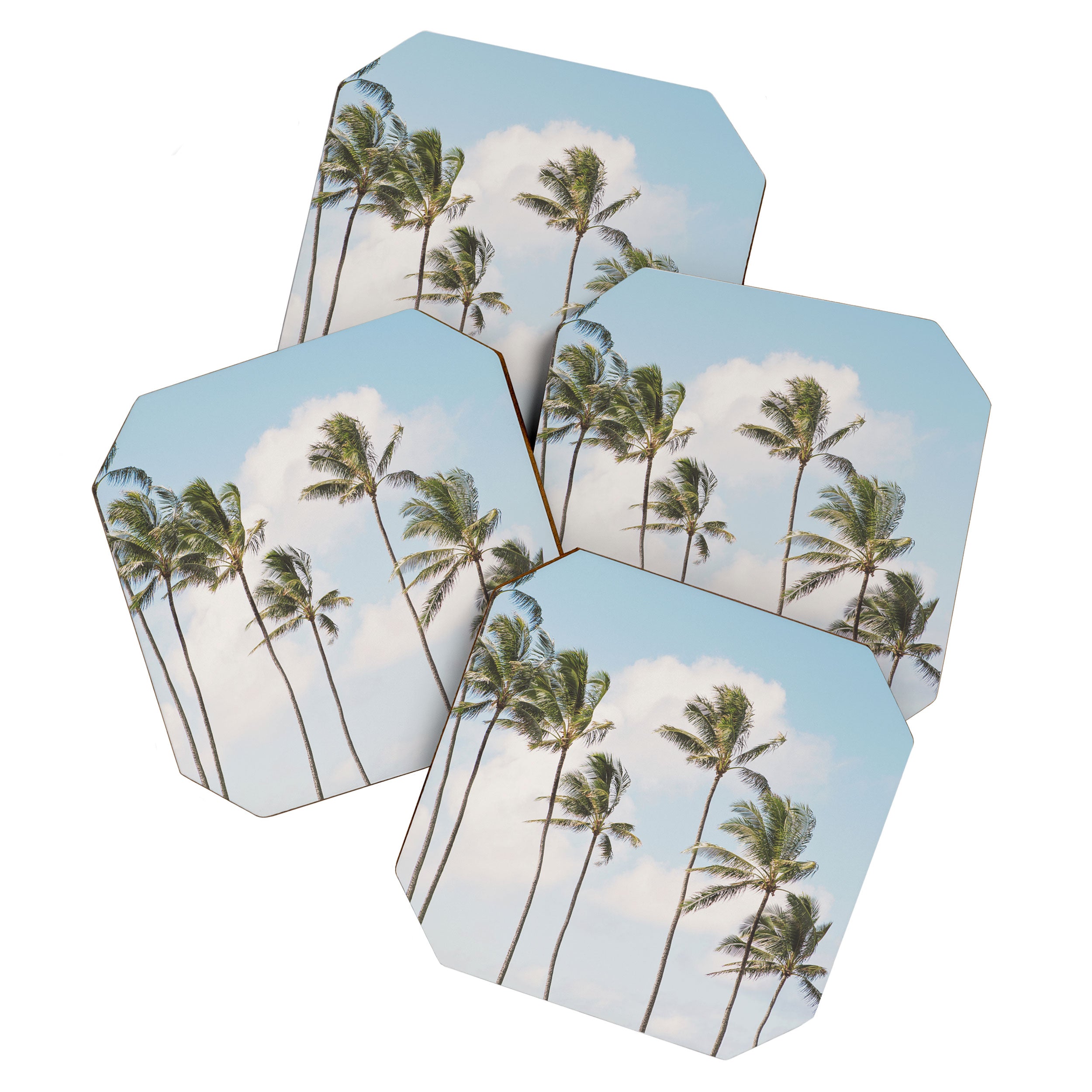 Isle of Palms Coaster Gallery Image 1