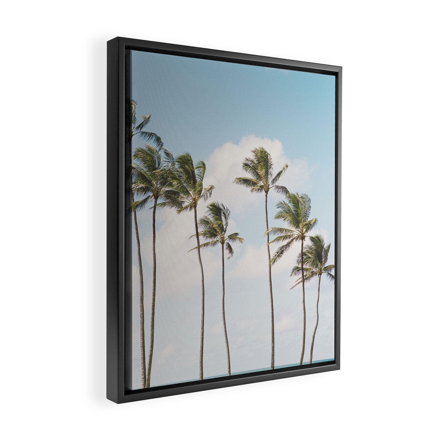 Isle of Palms Framed Canvas Print Gallery Image 2