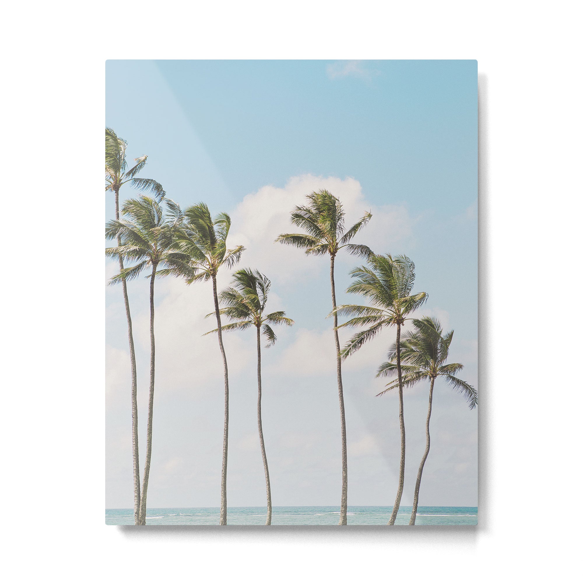 Isle of Palms Metal Print Gallery Image 4