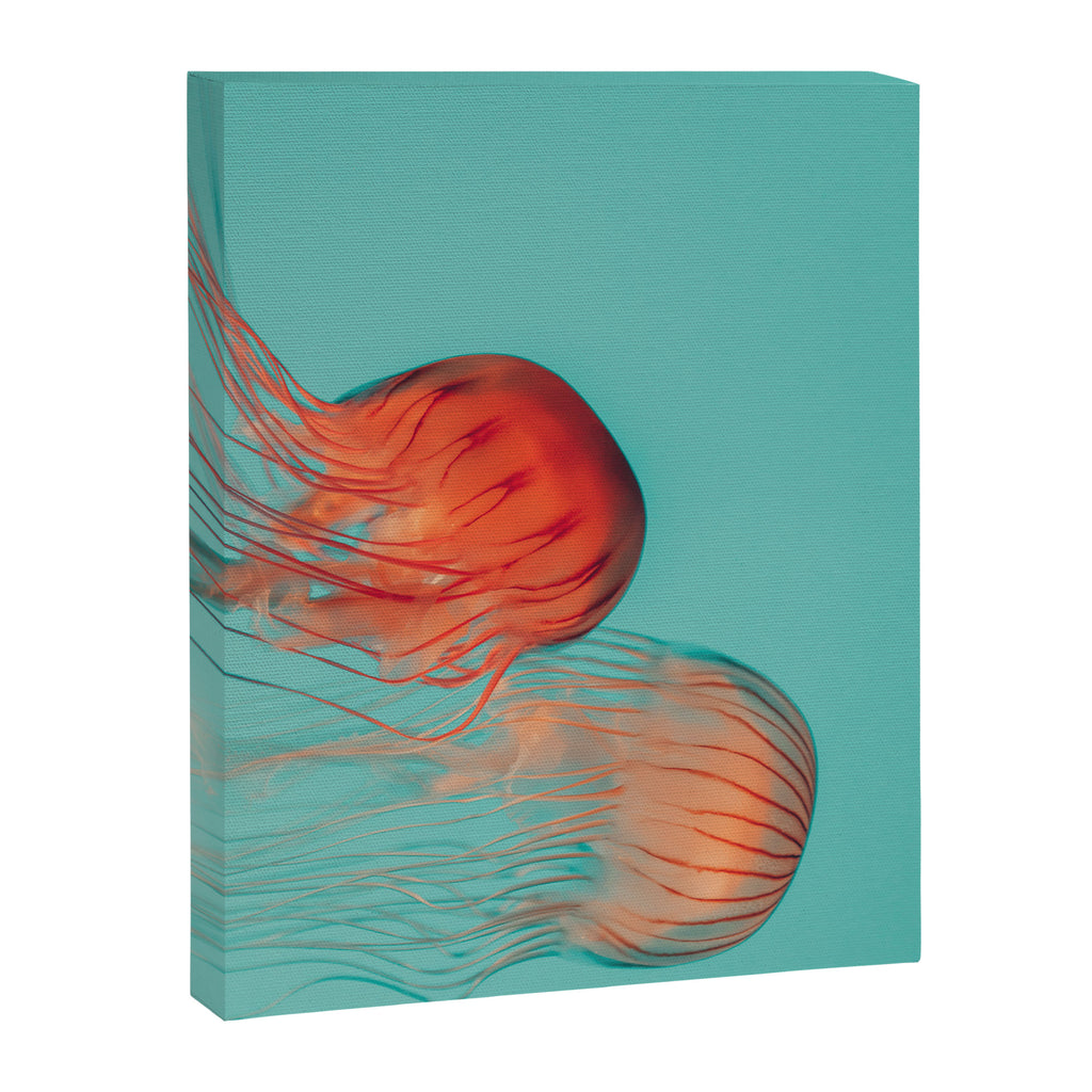 Jellyfish Dance Canvas Print Gallery Image 6
