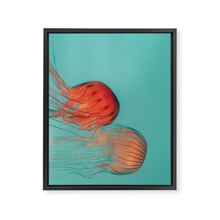 Jellyfish Dance Framed Canvas Print Gallery Image 1