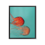 Jellyfish Dance Framed Canvas Print Gallery Image 6