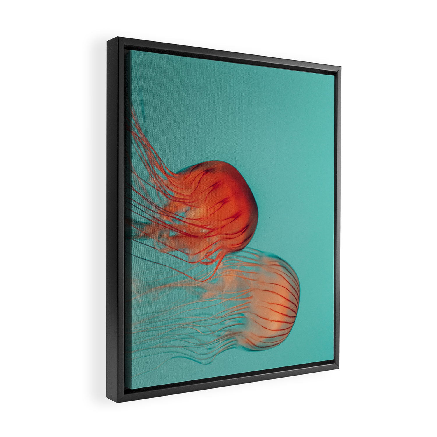 Jellyfish Dance Framed Canvas Print Gallery Image 2