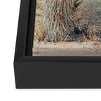 Joshua Tree Framed Canvas Print Gallery Image 3