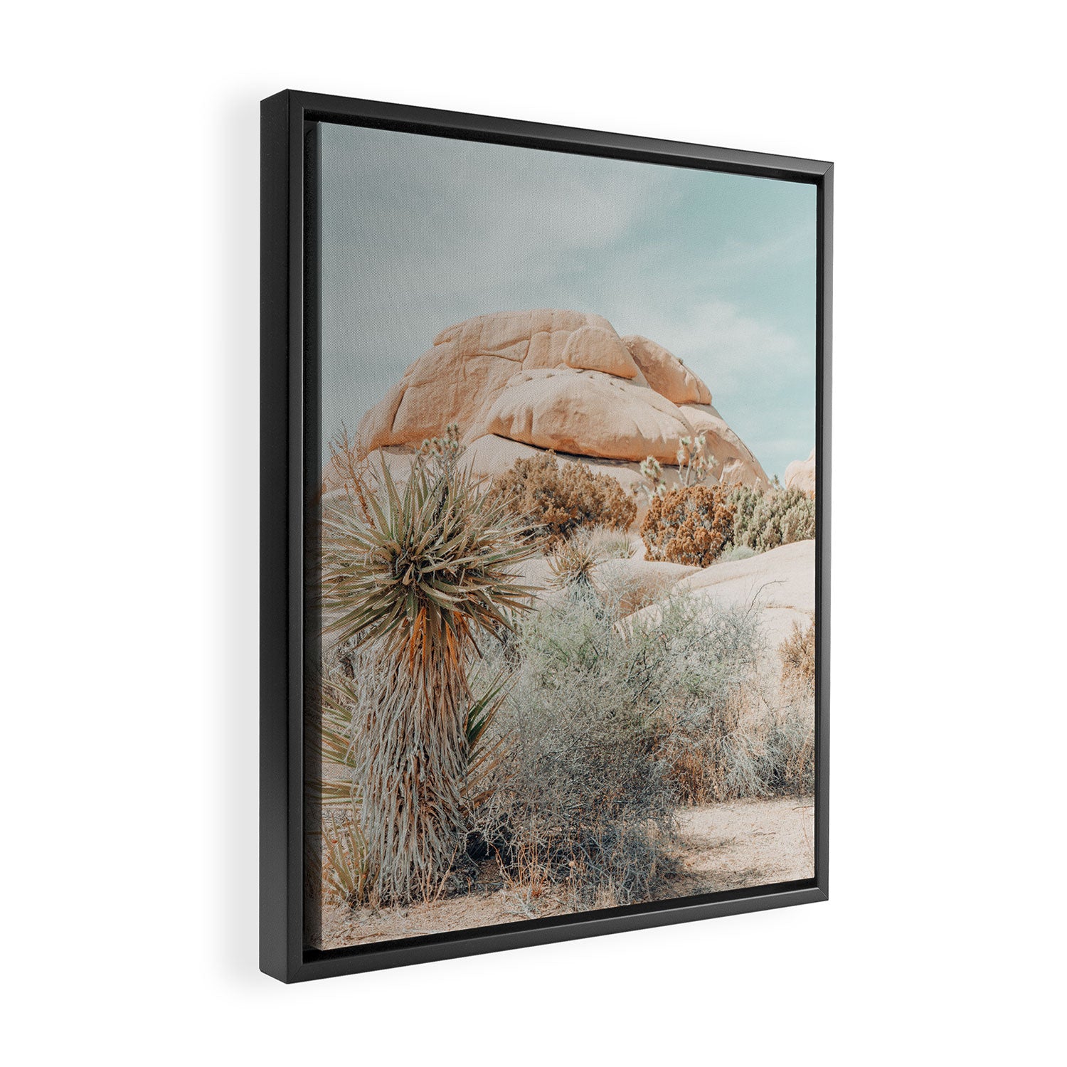 Joshua Tree Framed Canvas Print Gallery Image 2