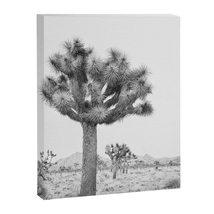 Joshua Tree Canvas Print Gallery Image 1