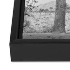 Joshua Tree Framed Canvas Print Gallery Image 3