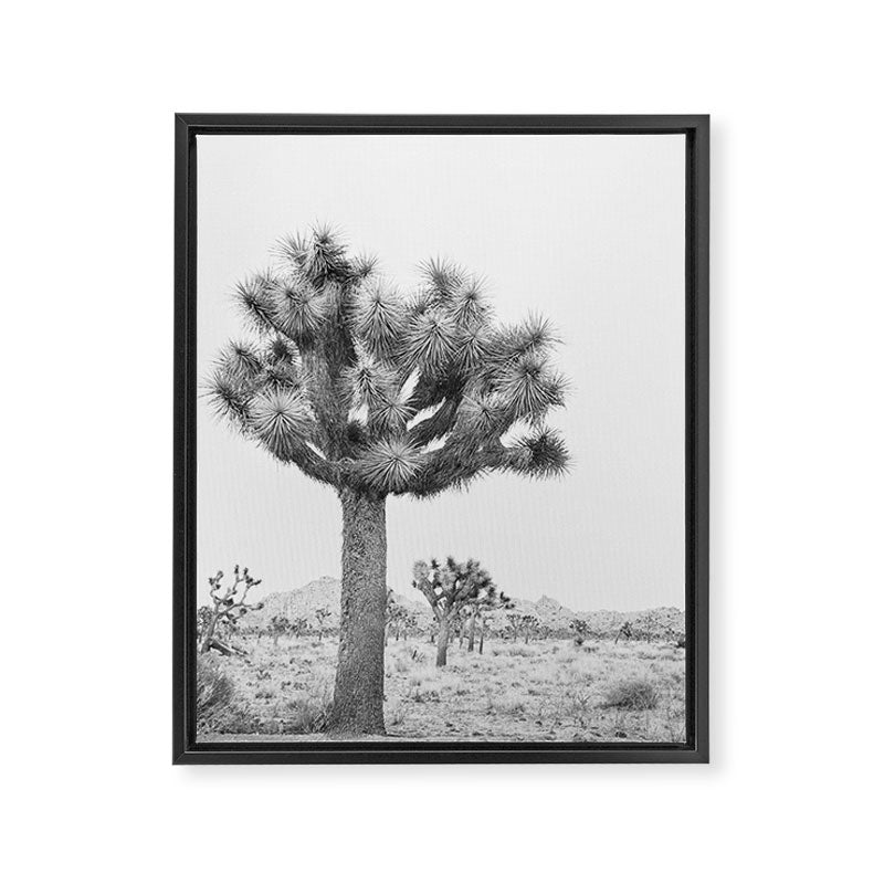 Joshua Tree Framed Canvas Print Gallery Image 3