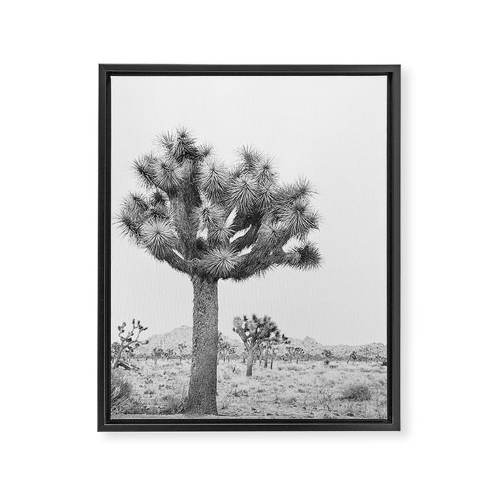 Joshua Tree Framed Canvas Print Gallery Image 1