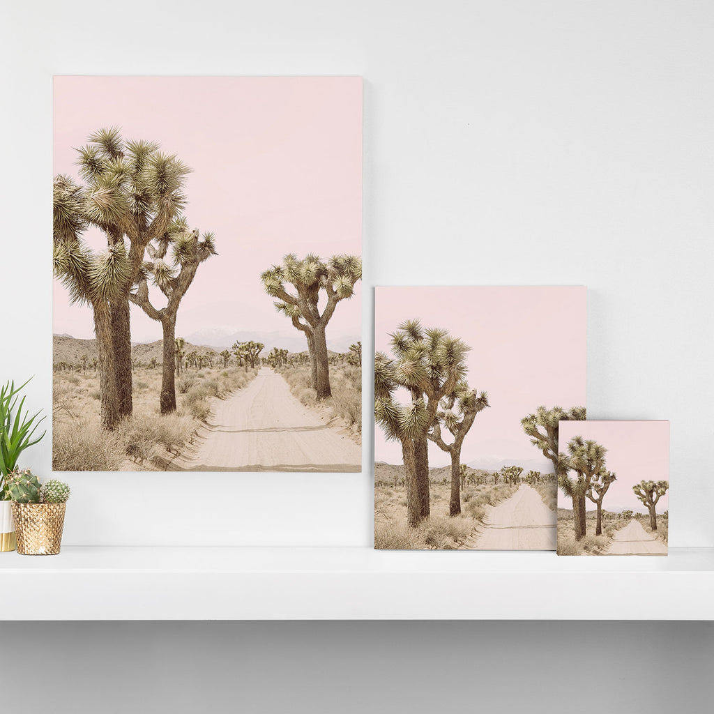 Joshua Tree Canvas Print Gallery Image 3