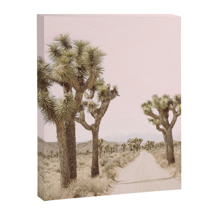 Joshua Tree Canvas Print Gallery Image 1