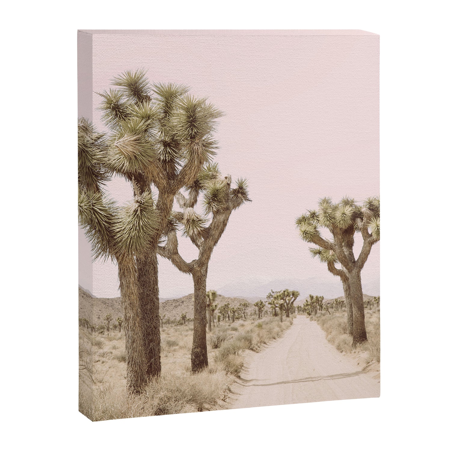 Joshua Tree Canvas Print Gallery Image 3