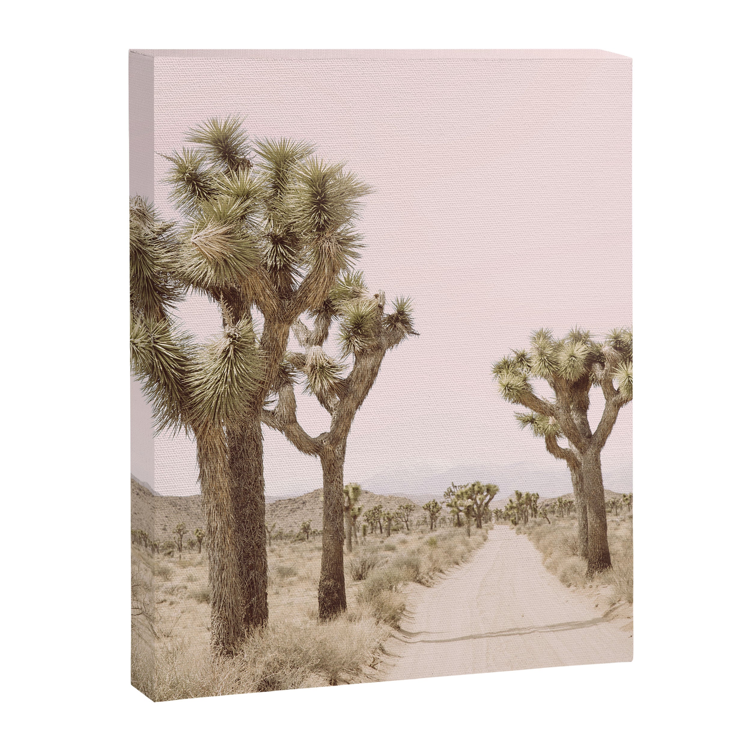 Joshua Tree Canvas Print Gallery Image 3