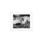 Kauai, Hawaii - Black and White Landscape Photography Art Print Gallery Image 1