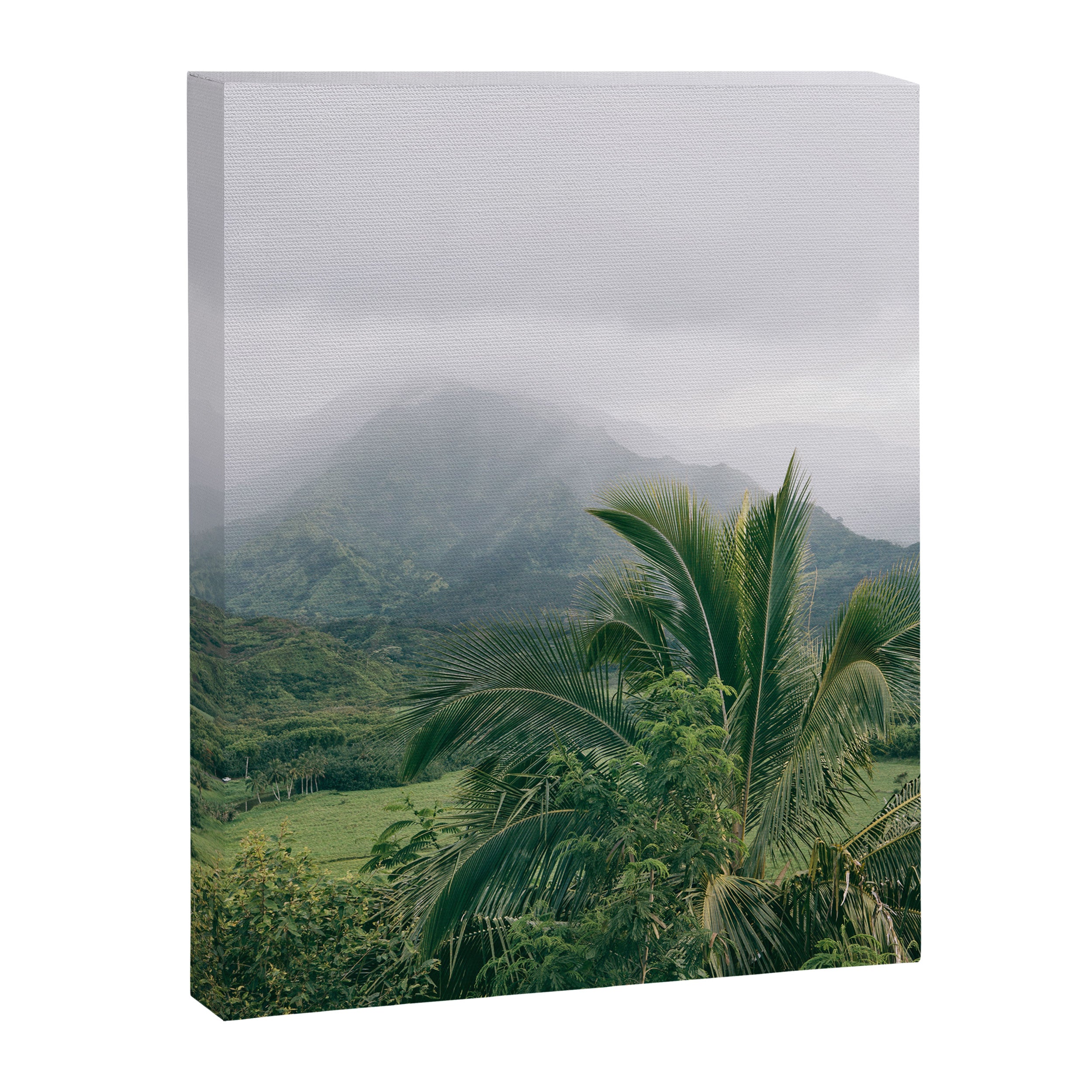Kauai Hawaii View | Hanalei Valley Landscape Art Print | Nature Travel Photography Canvas Print Gallery Image 6