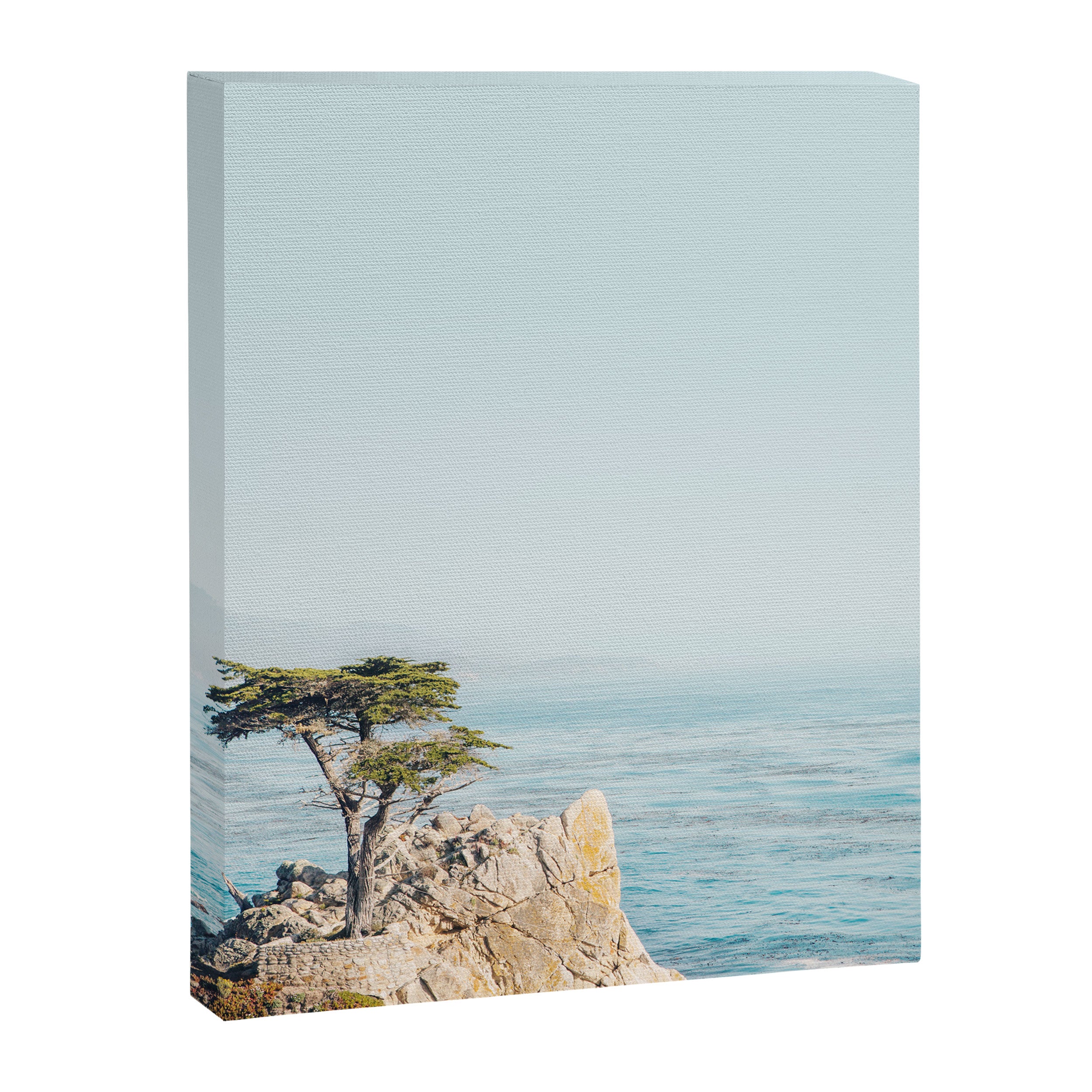 Lone Cypress Tree - Coastal California Landscape Photography Canvas Print Gallery Image 6