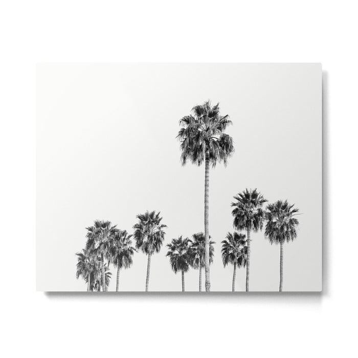 Los Angeles Palm Trees - Black and White Photography Metal Print Gallery Image 1