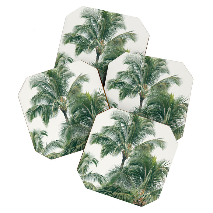 Lush Palm Trees Coaster Gallery Image 1
