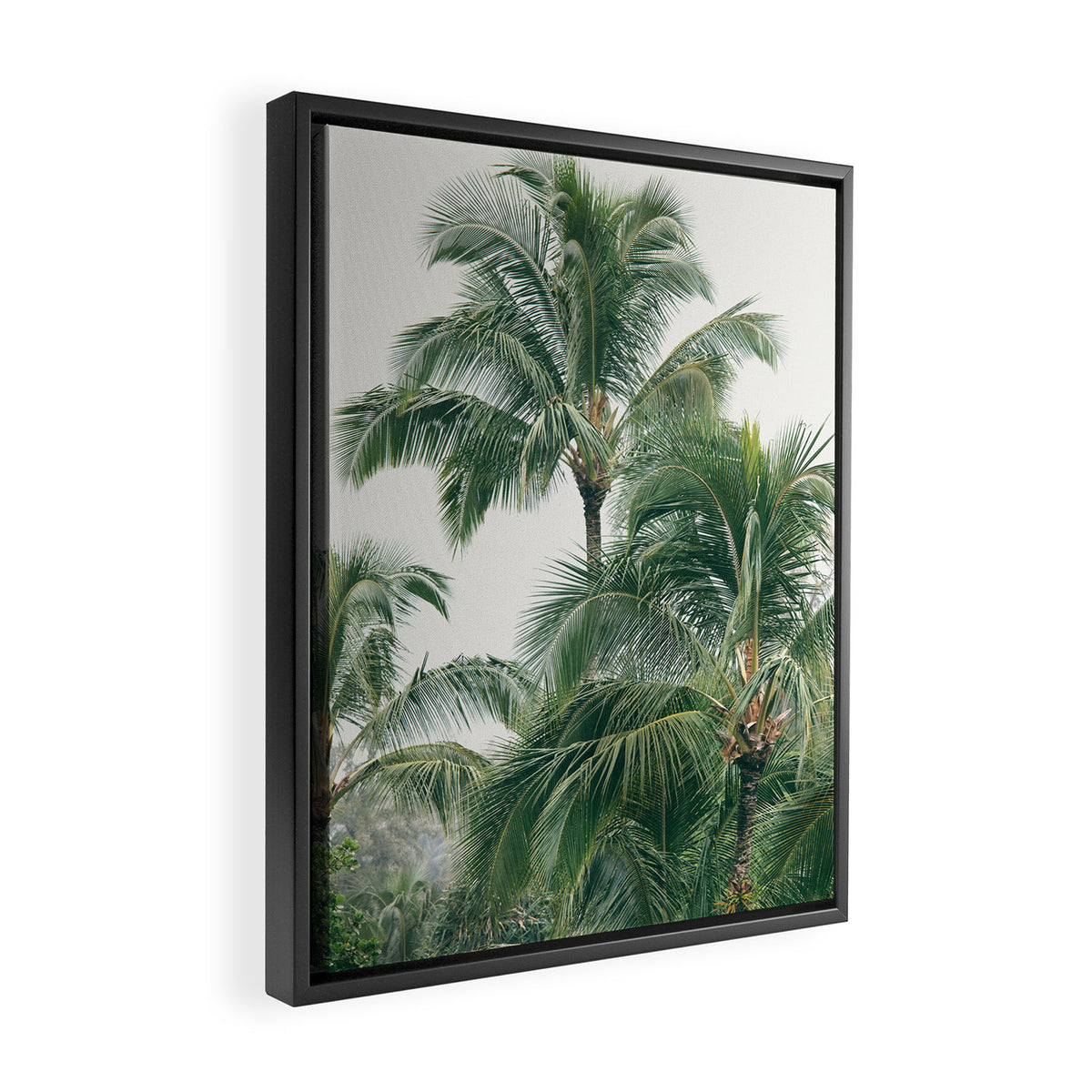 Lush Palm Trees Framed Canvas Print Gallery Image 2