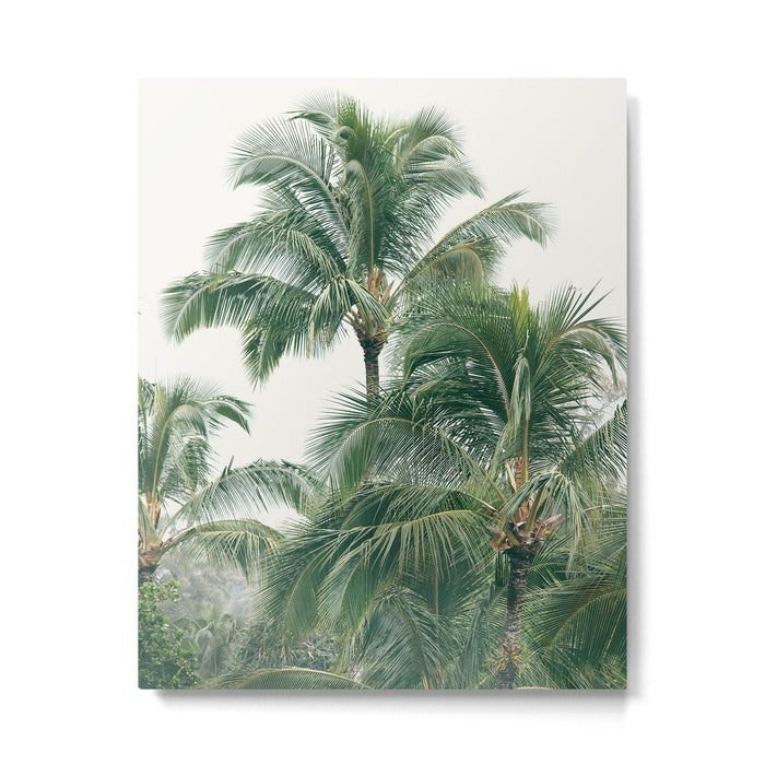 Lush Palm Trees Metal Print Gallery Image 1