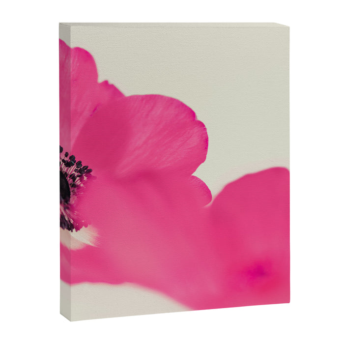 Magenta Mist Canvas Print Gallery Image 1
