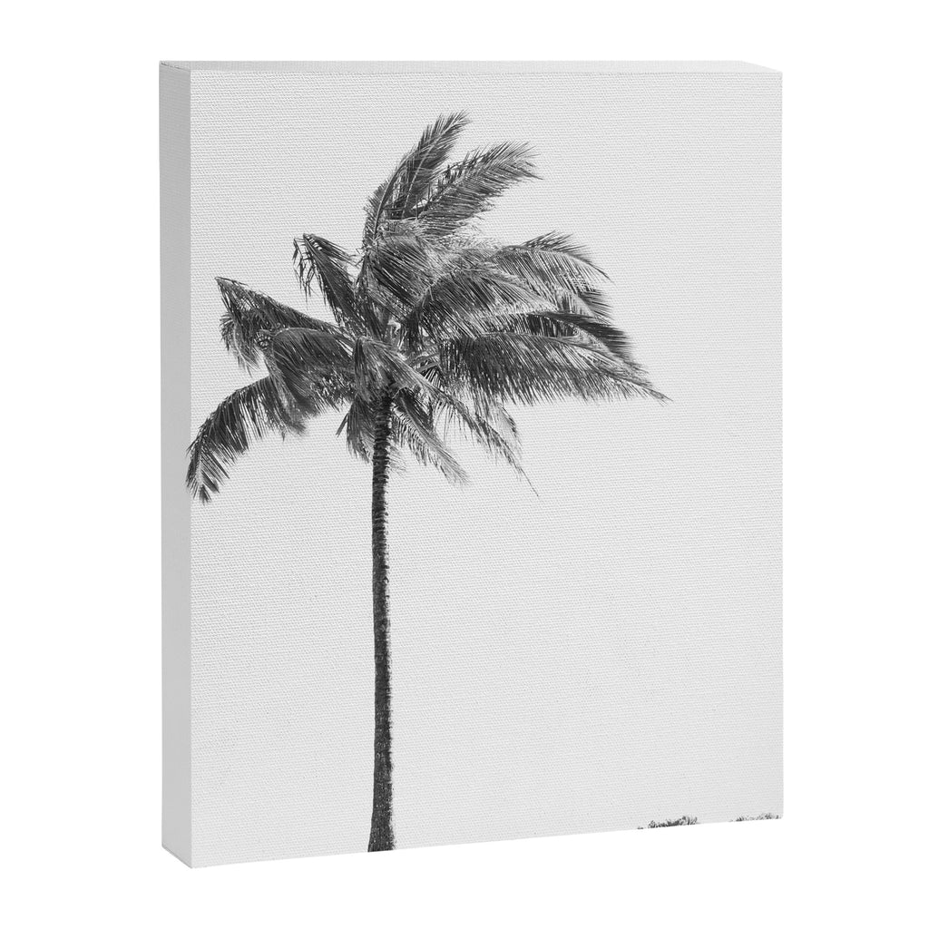 Maui Palm Tree - Black and White Photography Canvas Print Gallery Image 6