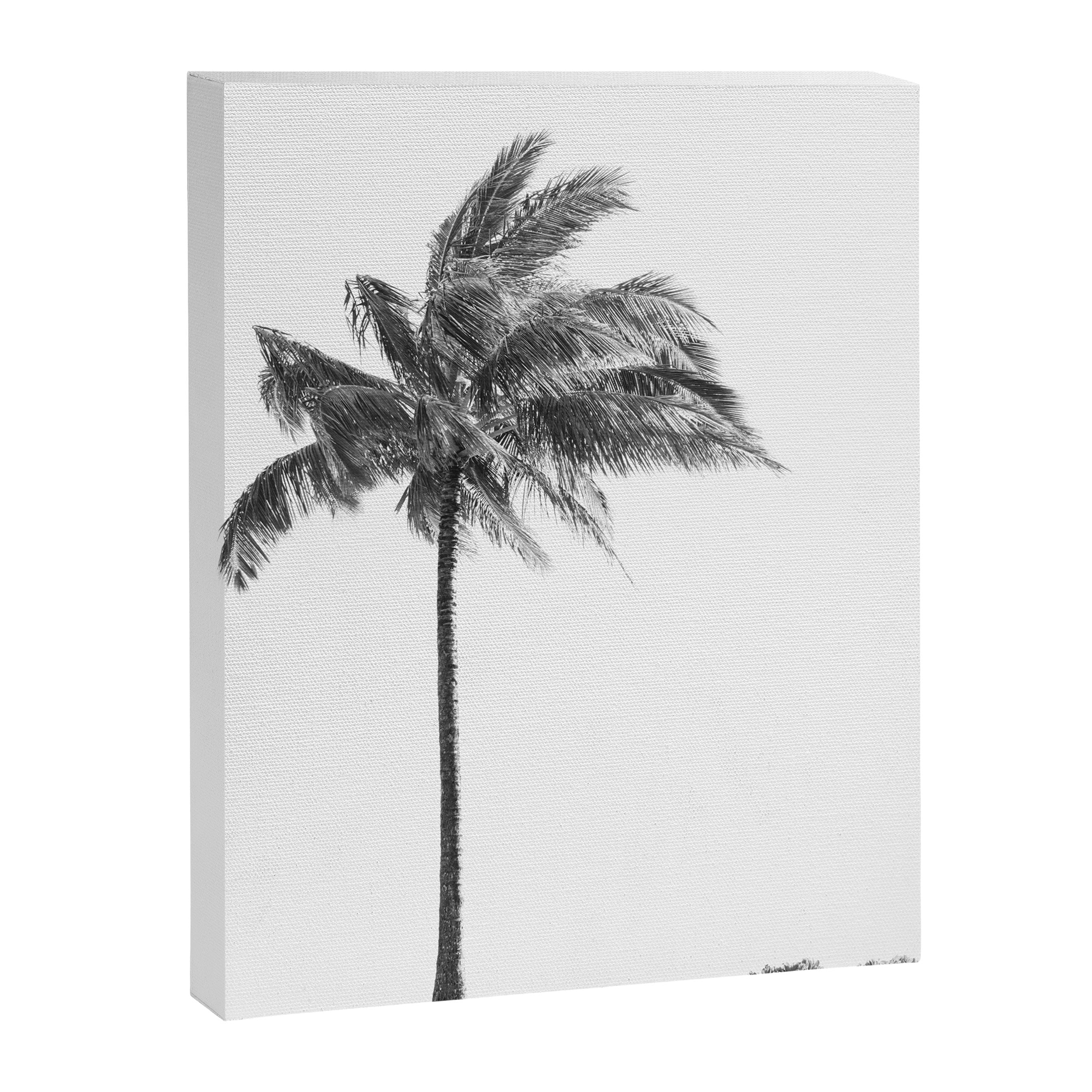 Maui Palm Tree - Black and White Photography Canvas Print Gallery Image 6